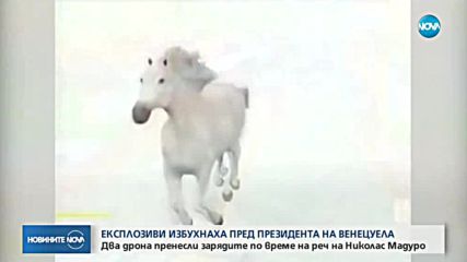 Новините на NOVA (05.08.2018 - централна емисия)