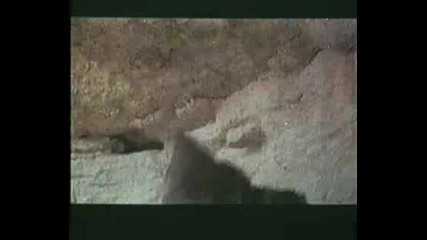 Star Wars - Episode Iv - Трейлър