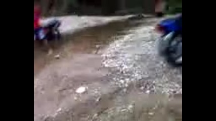 Gosho motorista - s.grozdevo 