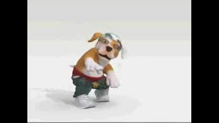 perro - rompe 