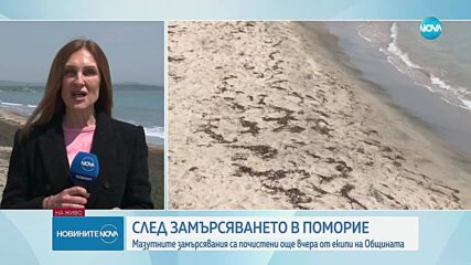 Има ли замърсяване по плажа в Поморие и какви мерки са предприели властите
