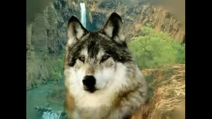 Native American Spiritual Music 