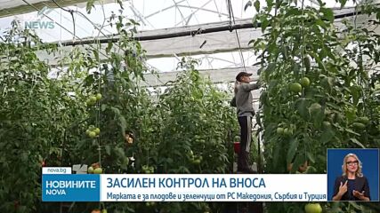 Засилен контрол на вноса на плодове и зеленчуци от РС Македония, Сърбия и Турция