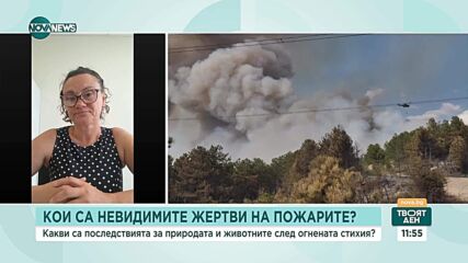 Невидимите жертви на горските пожари
