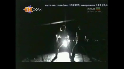 Сашка Васева - Левовете в марки