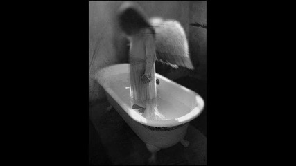 koлkoт0 ii дa bолii