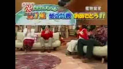 Top 5 pets with weird habbit talent 2004