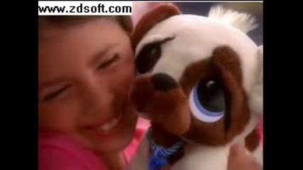 Rescue Pets