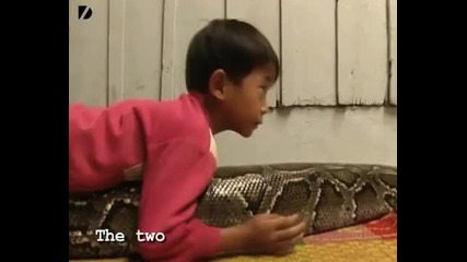 Kid Rides Giant Python