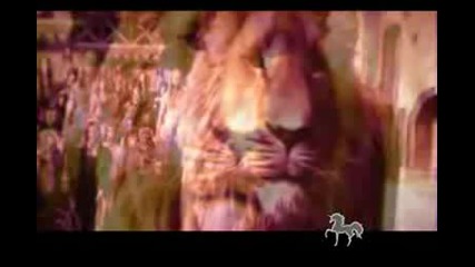 Narnia - Sand In My Shoes