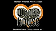 Hoxton Whores And Harrison - Even More Than A Feeling ( Original Mix ) [high quality]