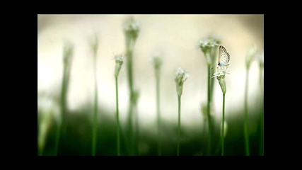 Atb - Moments In Peace