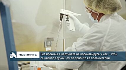 Без промяна е картината на коронавируса у нас - 1956 са новите случаи, 8% от пробите са положителни