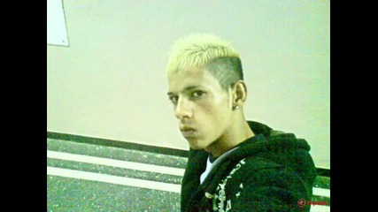 iv4o gazara