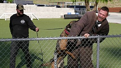 The Miz gets bitten by a dog: Miz and Mrs., July 11, 2022
