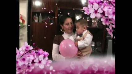 video suleiman