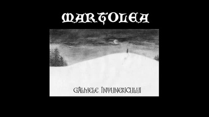 Martolea - Samca