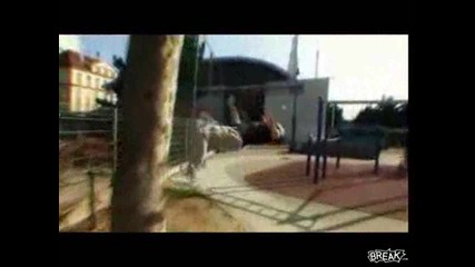 Провален Опит за Backflip на Дърво! 