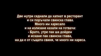 Топ 5 Вица! Смях!