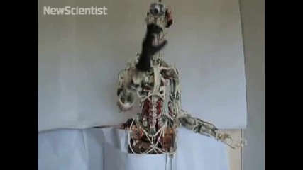Робот с кости се движи като човек