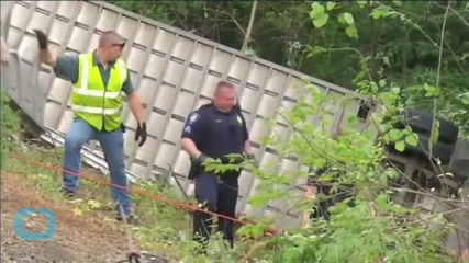 Thousands of Piglets Were on the Loose in Ohio After a Semitrailer Flipped