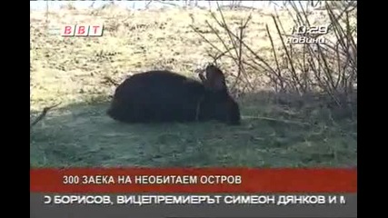 Язовира край гр.дебелец Фламбето