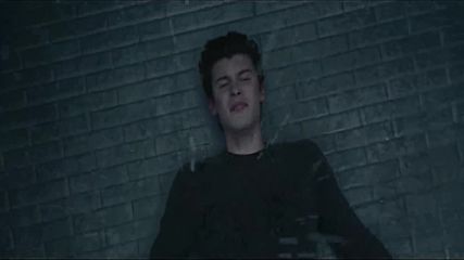 Shawn Mendes - In My Blood, 2018