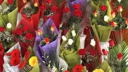 Christmas Flowers