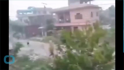 Wild Rhino Chased Back Into Forest After Rampaging Through Nepal City, Killing Woman