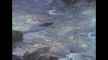 Aled Jones - Walking In The Air 1985
