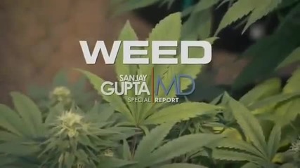 Weed - What You Dont Know - Documentary Hd - Marihuana, An Investigation