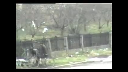Цигани бягат от полицията 