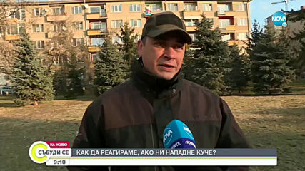 Как да реагираме ако ни нападне куче?