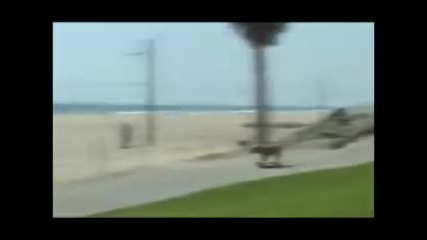 Луди животни! Мн смях : D 