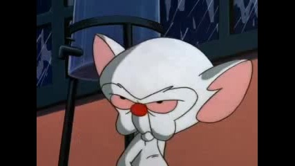 Pinky and the Brain,ep.39