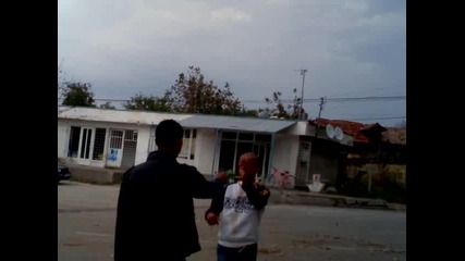 seynur 