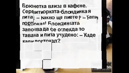 Вицове + смешни снимки