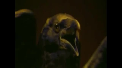 The Crow & Linda Perry - You knock me out Hd