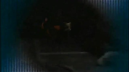 Wwe Tlc 2009 - John Cena vs Sheamus Promo H D