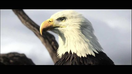 Assassin's Creed 3 Pictures part - 30