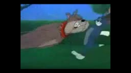 Tom & Djery (bg parody)