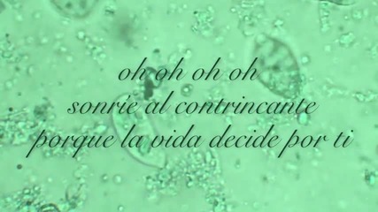 Cris Méndez - Vida ( Lyric Video)