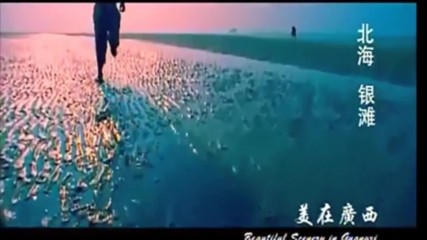 Beautiful Relax For Your Soul ( Chinese Ambient Music )