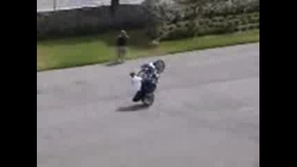 Motori
