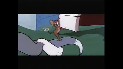 Tom And Jerry