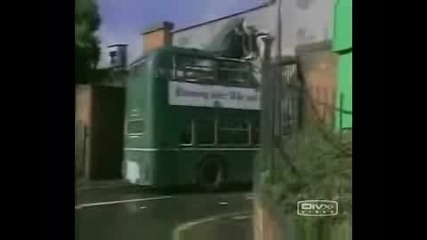 Много Тъп Шефьор