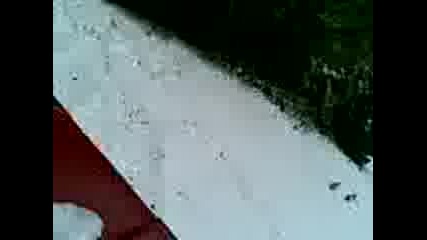 Bratov4eda Gonzo :) ) ) ) )