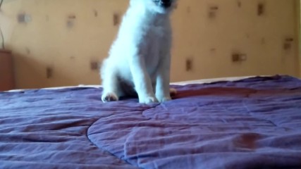 Vid_20161118_122424