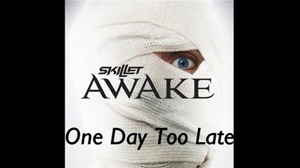 Skillet - One Day Too Late 