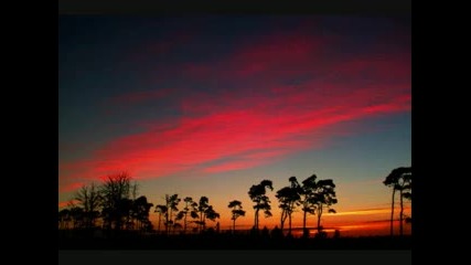 Bart Claessen - First Light (превод)
